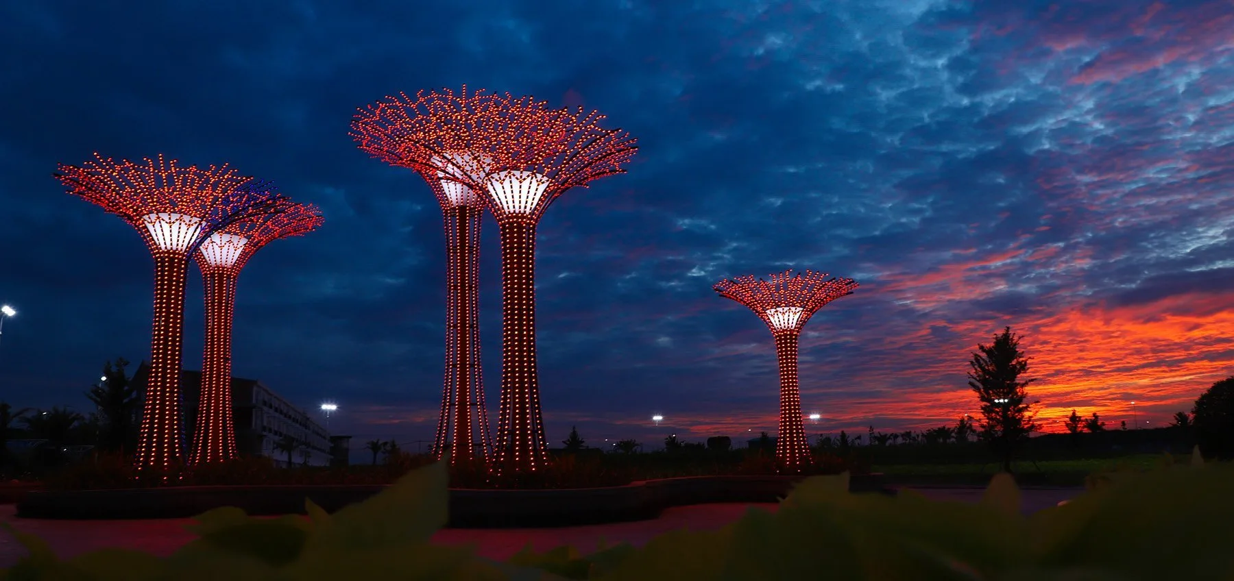 Century City Urban Area