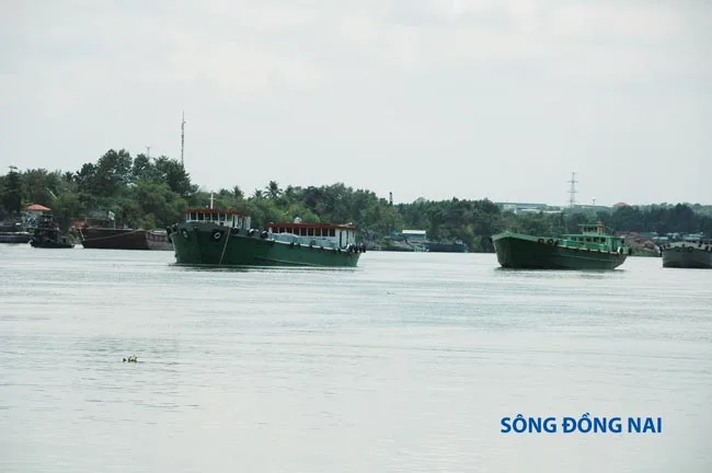 Khu đô thị thương mại Lavender City