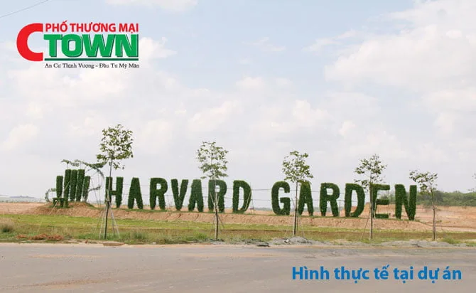 Phố thương mại C-Town