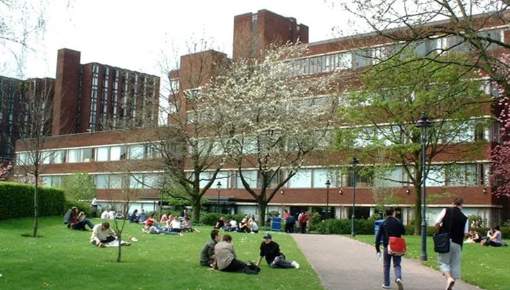 Phố Thương mại Tri Thức College Town II