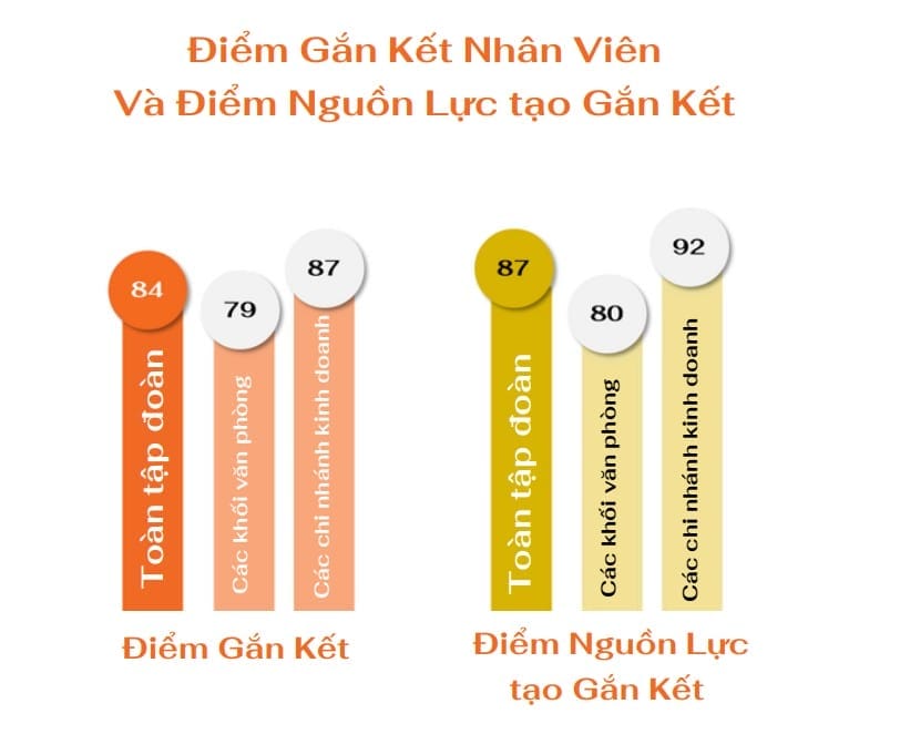 Kết quả khảo sát gắn bó nhân viên với những con số ấn tượng